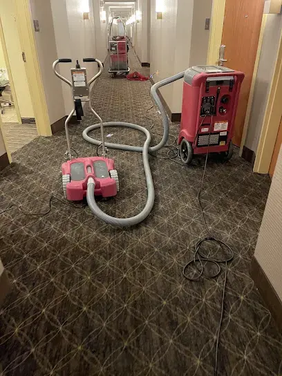 Air movers and a dehumidifier drying carpet along a hallway