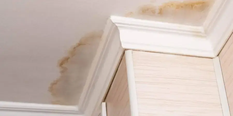 Ceiling Leak Water Damage in Murfreesboro, TN