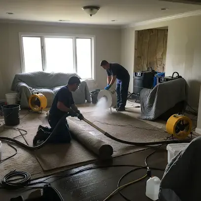 Technicians extracting water from carpet with air movers running in a Smyrna living room
